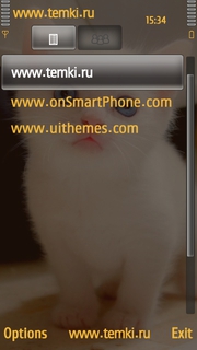 Скриншот №3 для темы Котёнок