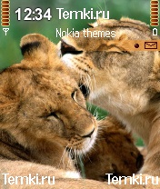 Львиная любовь для Nokia N72