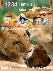 Львиная любовь для Nokia 6710 Navigator