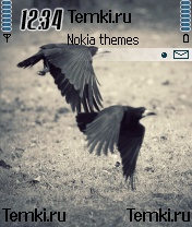 Птицы для Nokia 6630