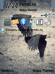 Птицы для Nokia 6700 Slide