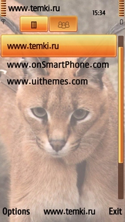Скриншот №3 для темы Домашняя  кошка