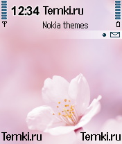 Нежность для Nokia 6680