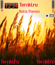 Поле для Nokia N70