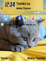 Прикольный Котэ для Nokia N95 8GB