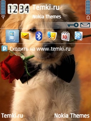 Милашка с розой для Nokia E73 Mode