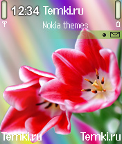 Цветы для Nokia 7610