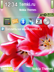 Цветы для Nokia N85