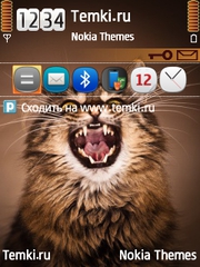 Кошка для Nokia E66