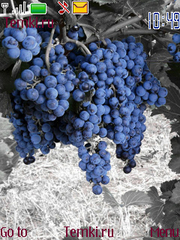 Виноград для Nokia 6233