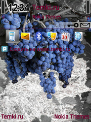 Виноград для Nokia 6121 Classic