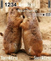 Суслики целуются для Nokia 6630