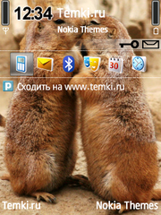 Суслики целуются для Nokia X5 TD-SCDMA