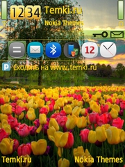 Ботанический сад для Nokia E51