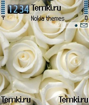 Белые розы для Samsung SGH-D730