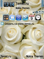Белые розы для Nokia N95-3NAM