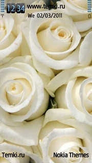 Белые розы для Nokia C7 Astound