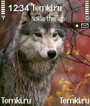 Волк с яркими глазами для Nokia 3230