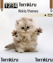 Котенок играет для Nokia 6682