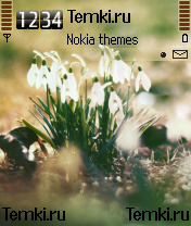 Цветы для Nokia N90