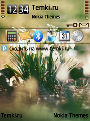 Цветы для Nokia E66