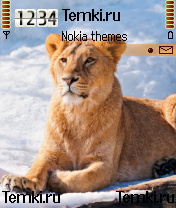 Львица для Nokia 6630