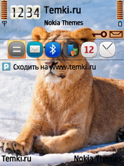 Львица для Nokia 6700 Slide