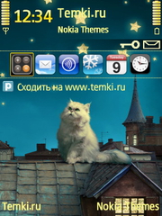 Кот на крыше для Nokia E55
