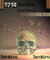 Череп для Nokia 6682