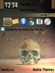 Череп для Nokia N77