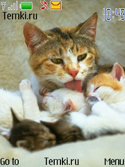 Мамочка с котятами для Nokia 3720 Classic
