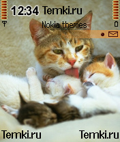 Мамочка с котятами для Nokia 6620