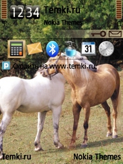 Лошадки обнимаются для Nokia N78