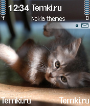 Котенок для Nokia N72