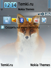 Лиса для Nokia N95 8GB
