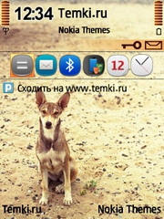 Пёс для Nokia E50