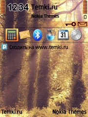 Летний лес для Nokia N92