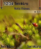 Божья коровка для Nokia N70