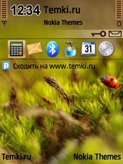 Божья коровка для Nokia X5-00