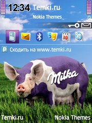 Шоколадная свинка для Nokia E52
