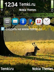 Осенний день для Nokia 6760 Slide