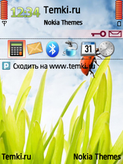 Ladybug для Nokia N95-3NAM