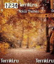 Осенний лес для Nokia N72