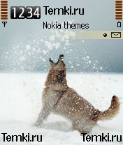 Зимняя радость для Nokia 7610