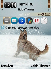 Зимняя радость для Nokia 5700 XpressMusic