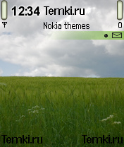 Поле перед дождем для Nokia 6620