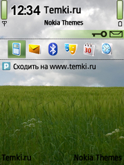 Поле перед дождем для Nokia E61i