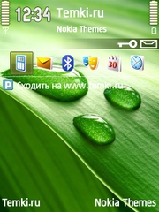 Капли Росы для Nokia 6790 Slide