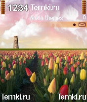 Море тюльпанов для Nokia N72
