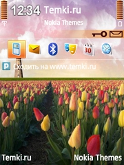 Море тюльпанов для Nokia E66